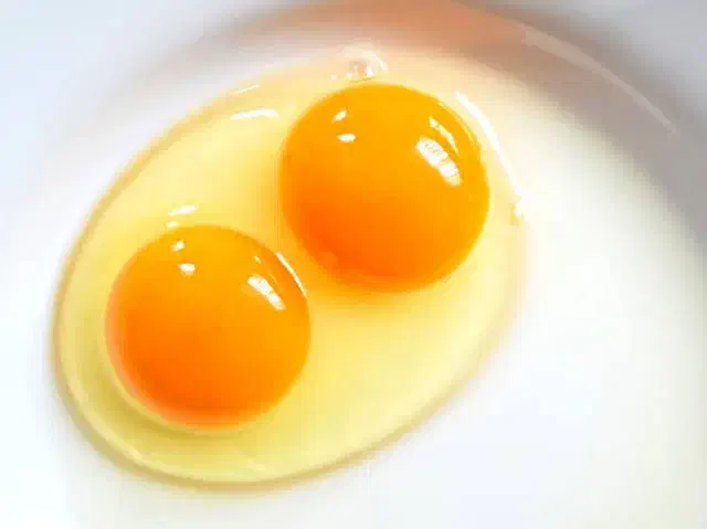 تخممرغ|خوردنی و آشامیدنی|تربتحیدریه, شهرک ولیعصر|دیوار