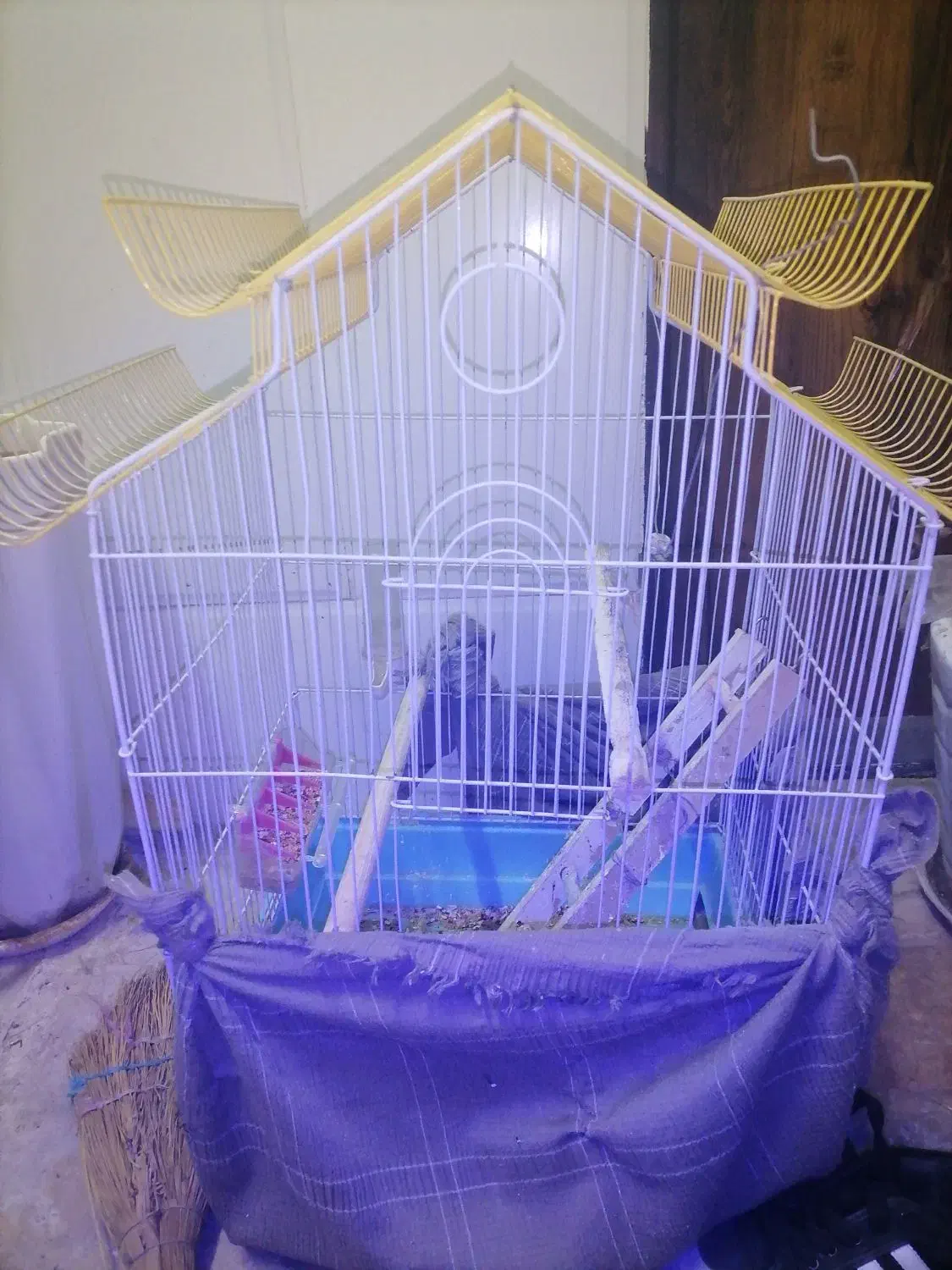 قفس عروس هلندی سالم|لوازم جانبی حیوانات|قم, شاه ابراهیم|دیوار
