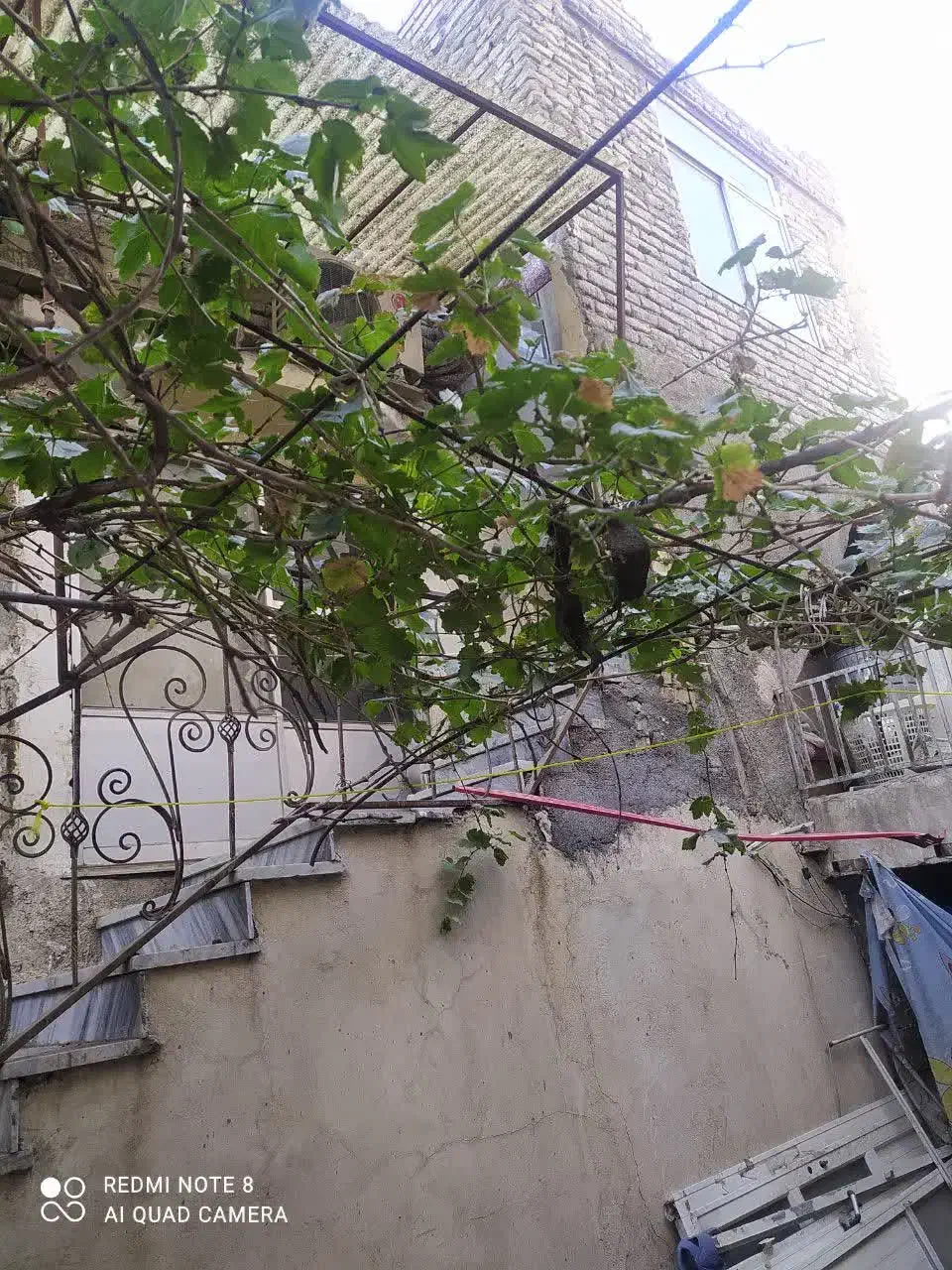 سه واحدآپارتمان حیاط۳۰ متری حاشیه بنی هاشم|فروش آپارتمان|مشهد, کارگران|دیوار