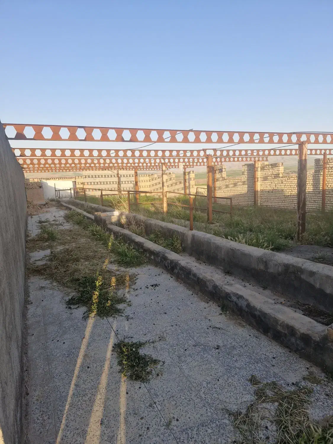 گاوداری صنعتی ۲۰۰۰ متر در چادگان|فروش زمین و ملک کلنگی|چنارود, |دیوار