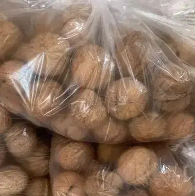 گردوی بوانات پوست کاغذی|خوردنی و آشامیدنی|شیراز, معالیآباد|دیوار