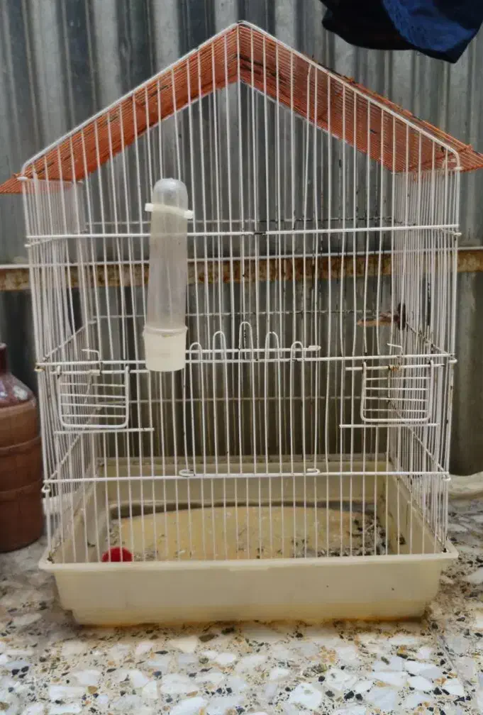 قفس پرنده|لوازم جانبی حیوانات|اهواز, کیانشهر|دیوار