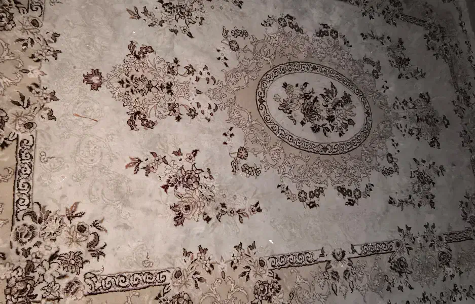 فرش رایگان|فرش|تهران, منیریه|دیوار