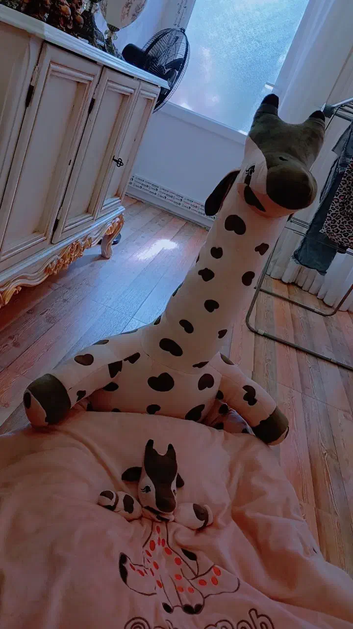 جای خواب کودک گارد دار|اسباب و اثاث بچه|اردبیل, |دیوار