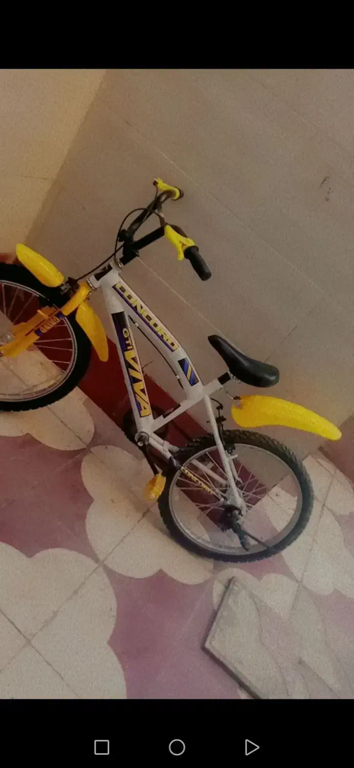 دوچرخه ۲۰|دوچرخه، اسکیت، اسکوتر|شیراز, قلعه نو|دیوار