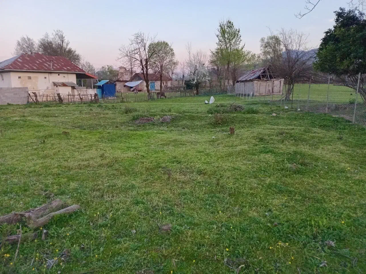 فروش فوری ۱۰۰۰متر تمام مسکونی|فروش زمین و ملک کلنگی|ماکلوان, |دیوار