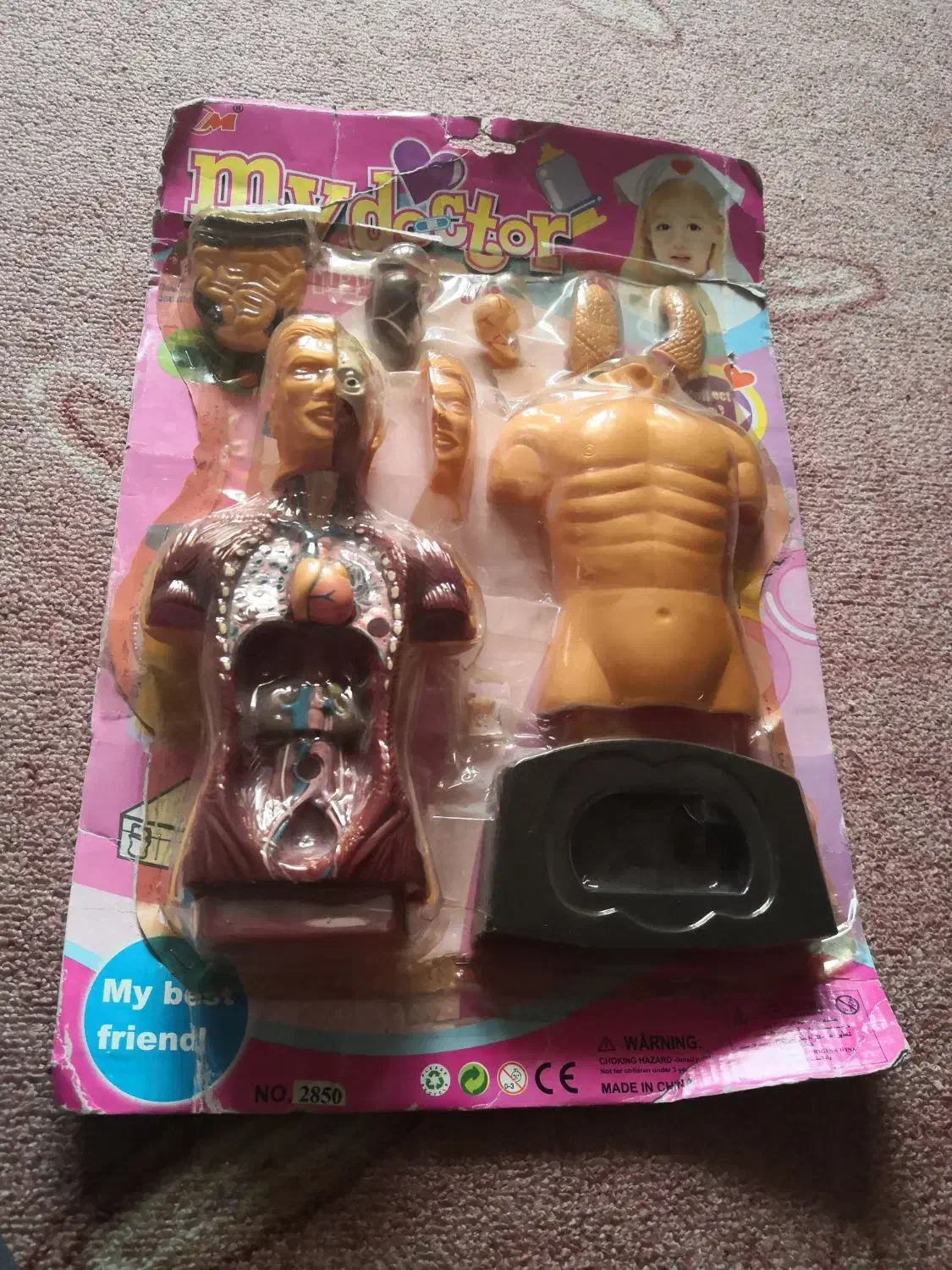 مولاژ بدن انسان|اسباب‌‌بازی|اهواز, کیانپارس |دیوار