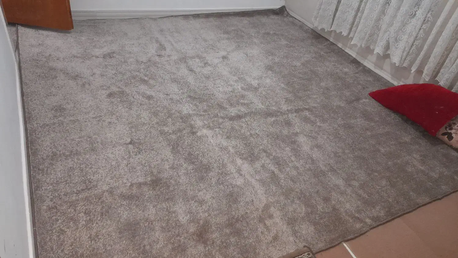 پالاز موکت|موکت|کرمانشاه, |دیوار