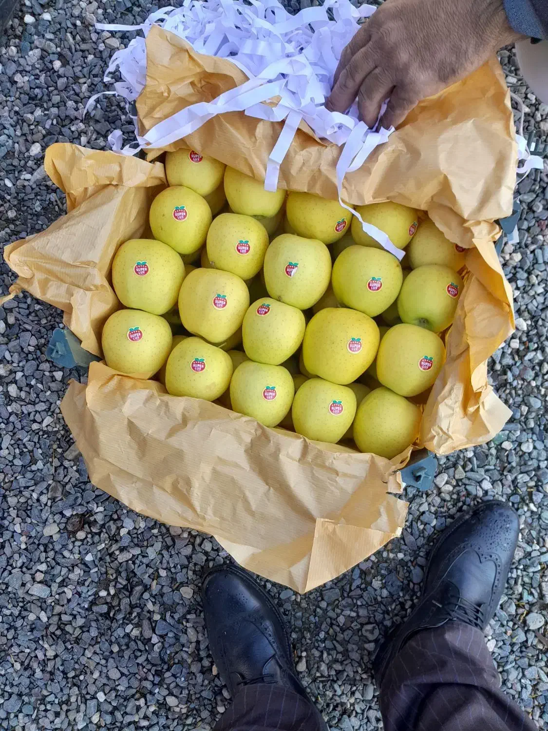 سیب سفید درجه یک|خوردنی و آشامیدنی|سیلوانه, |دیوار