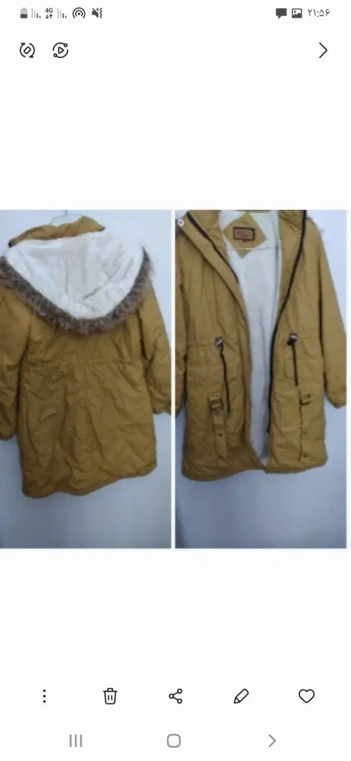 پالتو نونو|لباس|خوی, |دیوار