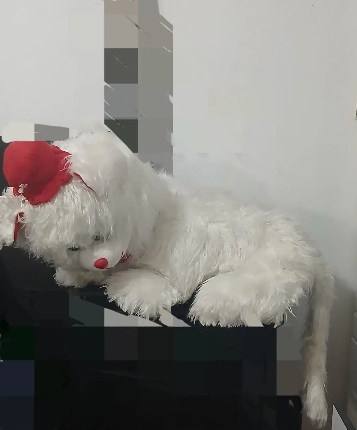 خرش بزرگ ۸۰۰ تومن|اسباب‌بازی بچه|خرم‌آباد, |دیوار