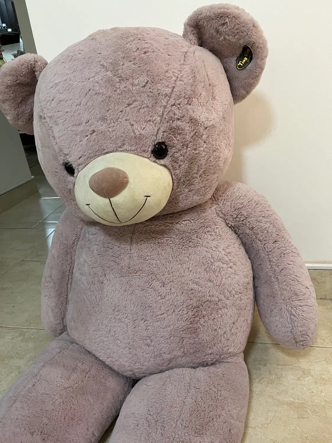 عروسک خرسی|اسباب‌‌بازی|رشت, کوی جام جم|دیوار