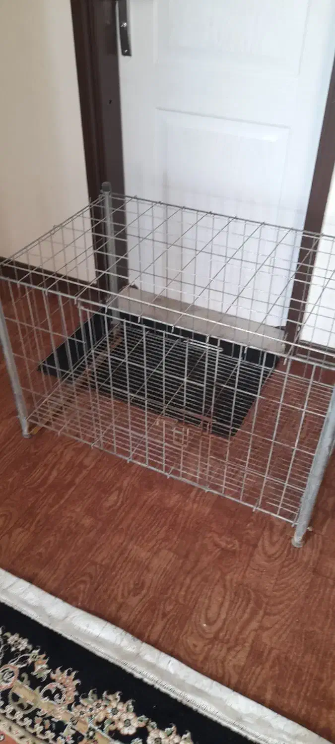 قفس سگ|لوازم جانبی حیوانات|پرند, فاز ۵|دیوار