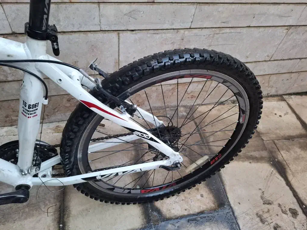 دوچرخه ویوا|دوچرخه، اسکیت، اسکوتر|کرمانشاه, |دیوار