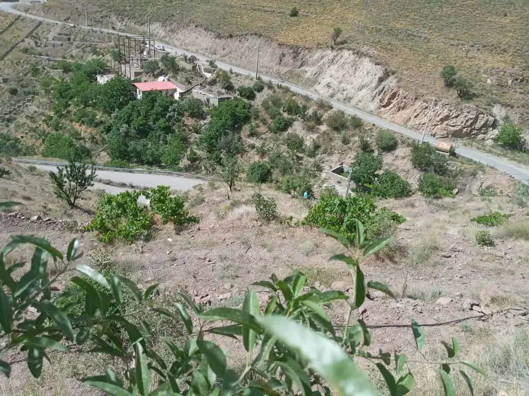 فروش زمین|فروش زمین و ملک کلنگی|آبعلی, |دیوار