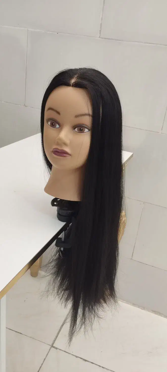 کله مانکن|آرایشگاه و سالن‌های زیبایی|بروجن, |دیوار