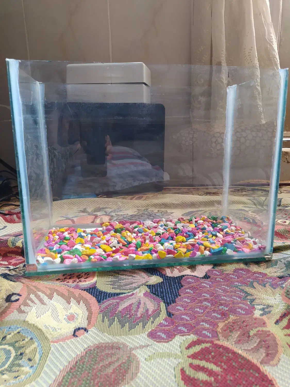 آکواریوم وفلاسک|ماهی|مشهد, رده|دیوار