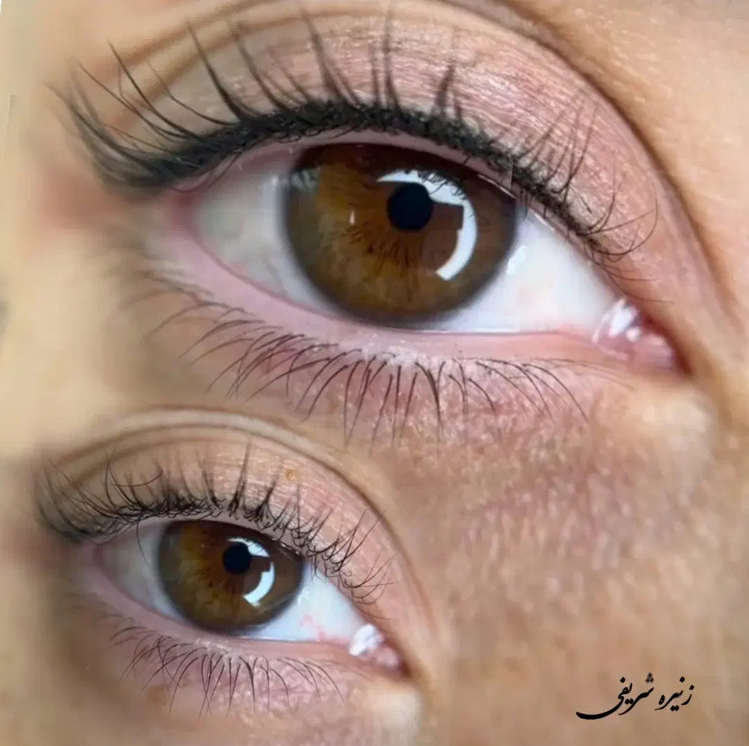 میکرو ابرو ،ریموو ،شیدینگ،خط چشم و بن مژه|خدمات آرایشگری و زیبایی|تهران, الهیه|دیوار