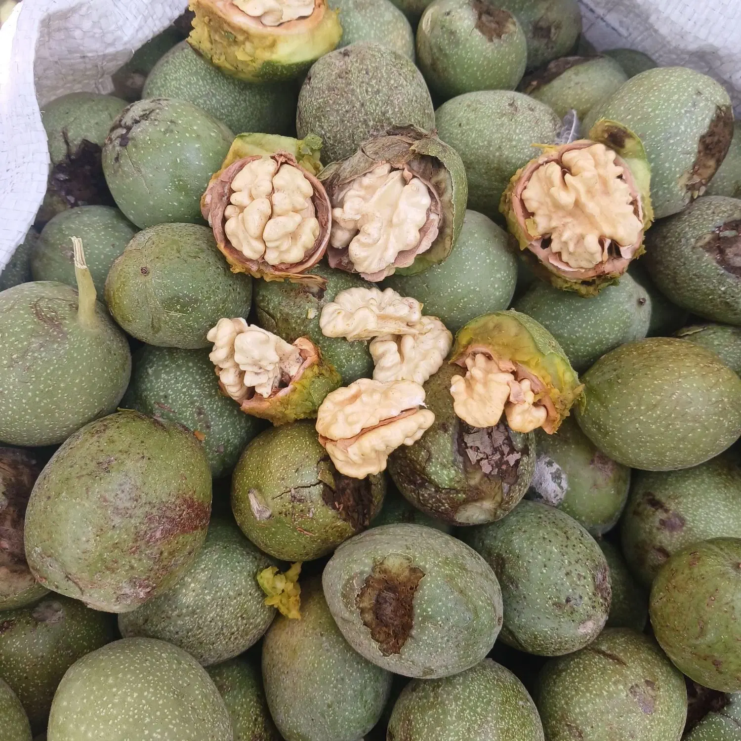 گردو|عمده‌فروشی|الیگودرز, |دیوار