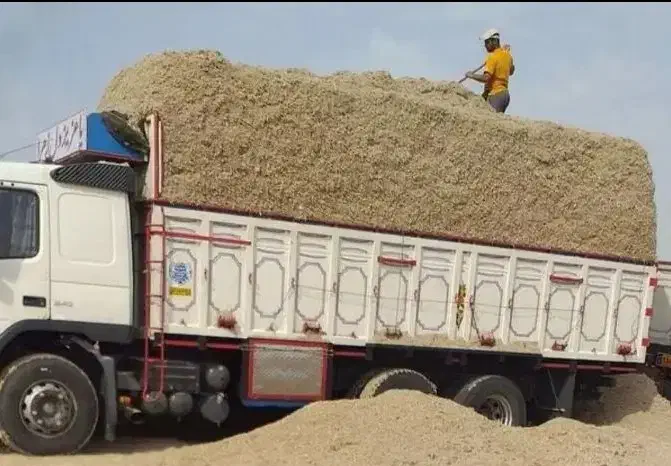 سفال وکاه گندم رفت و کاه نیشکر باگاس آمده به بازار|عمدهفروشی|ورامین, ورامین|دیوار