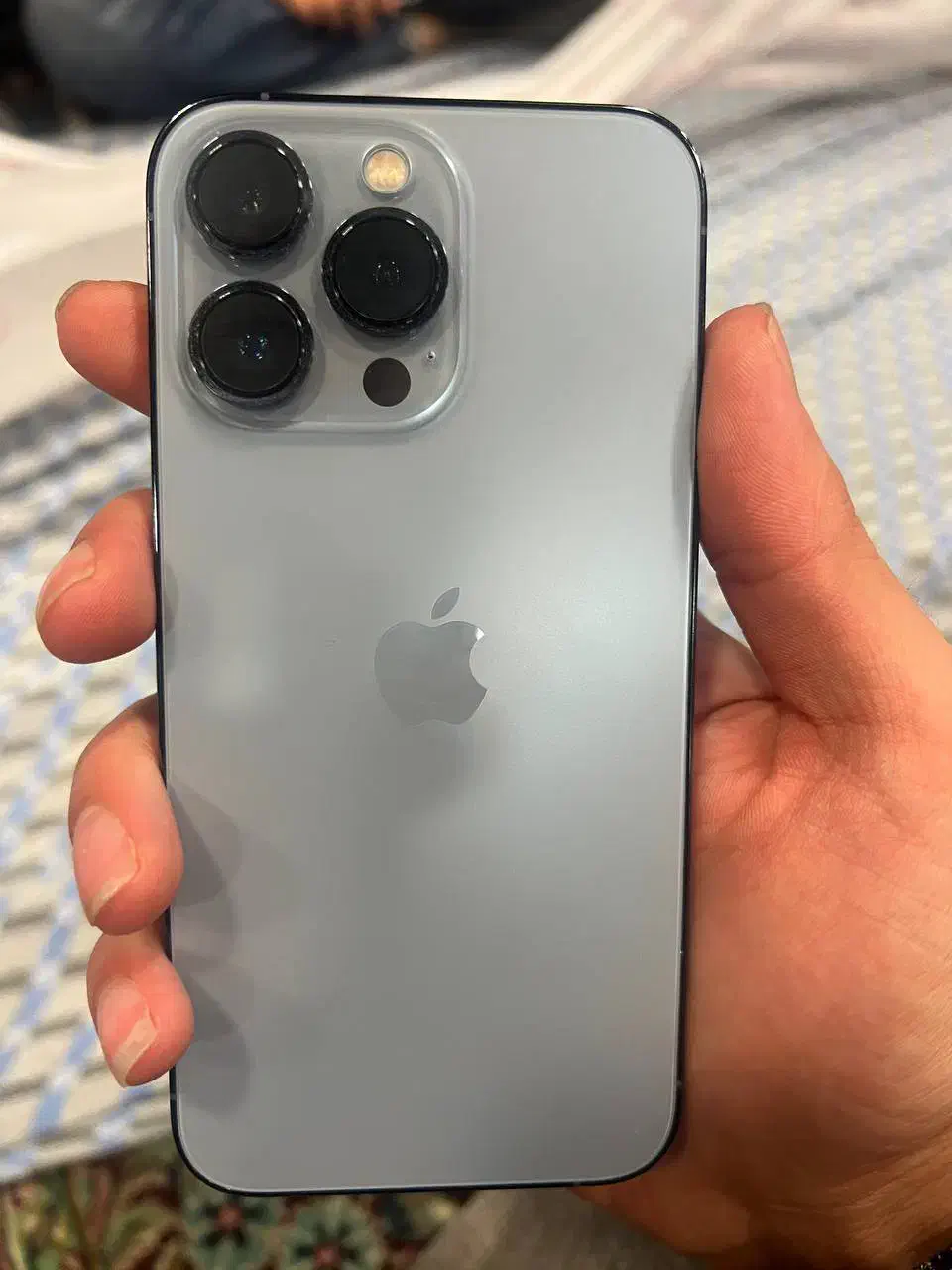 iPhone 13 Pro|موبایل|تربت‌حیدریه, ۴۵ متری|دیوار