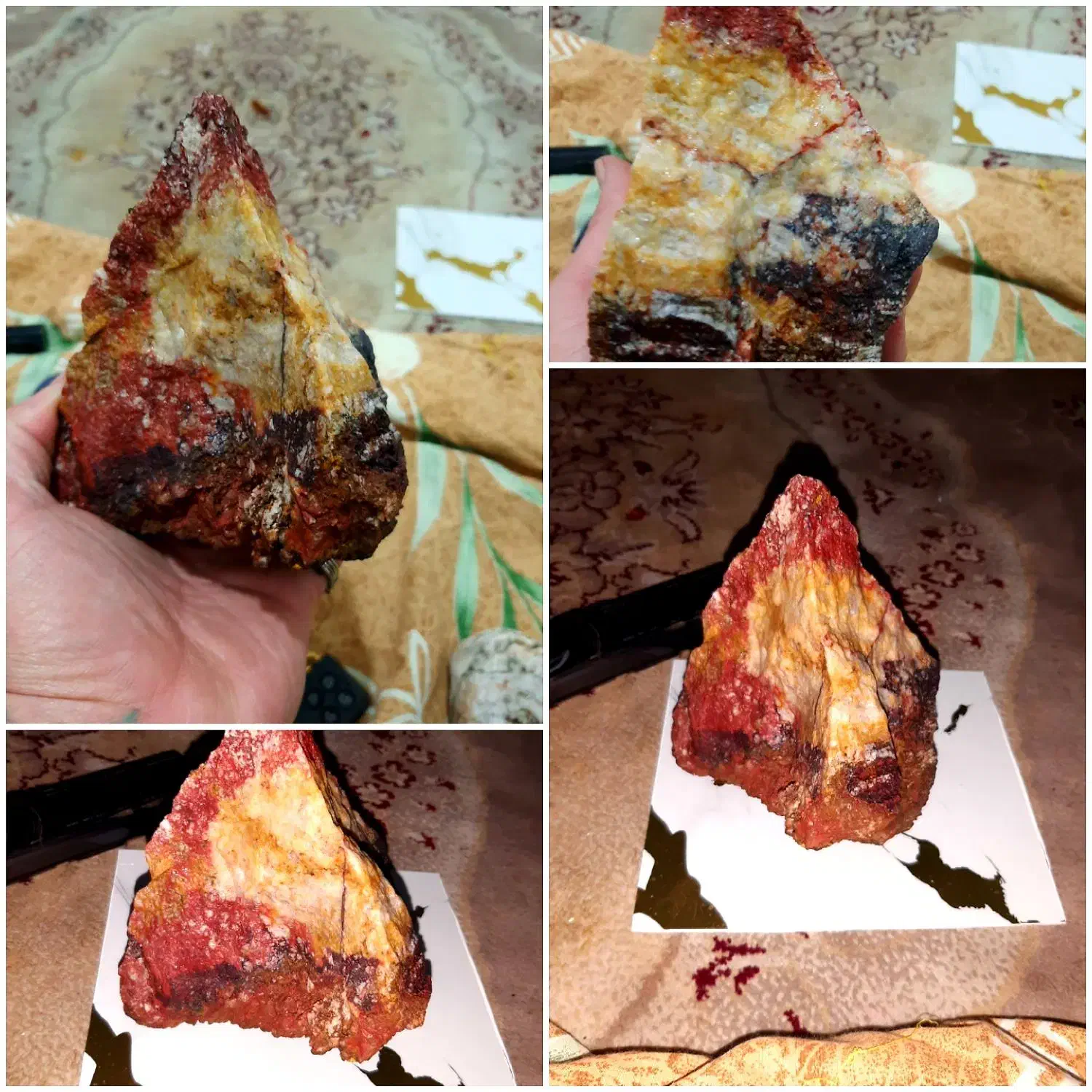 سنگ راف شجر کلکسیونی و سنگ به صورت مار|کلکسیون اشیاء عتیقه|پرند, فاز ۶|دیوار