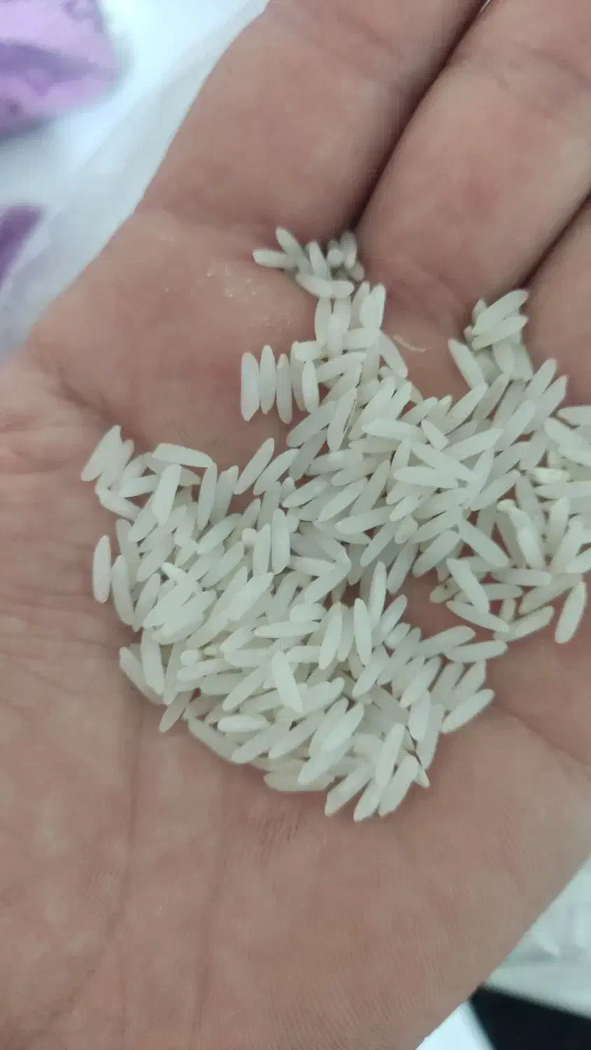 برنج طارم|خوردنی و آشامیدنی|زرگرشهر, |دیوار