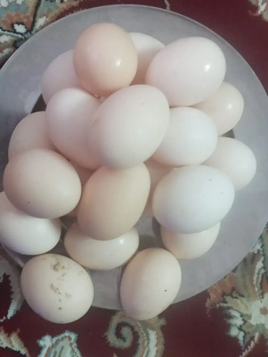 فروش تخم مرغ محلی|خوردنی و آشامیدنی|شوشتر, |دیوار