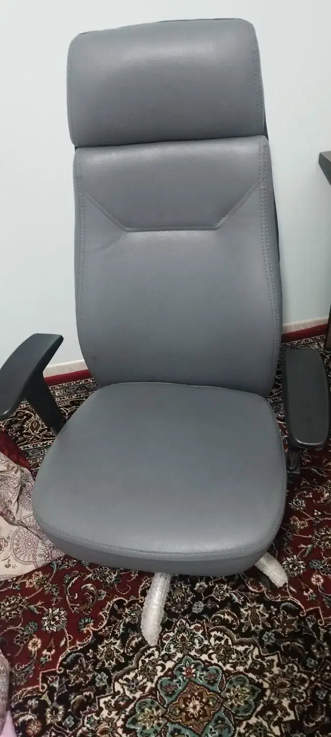 صندلی|دفتر کار|شاهین‌شهر, فدک|دیوار