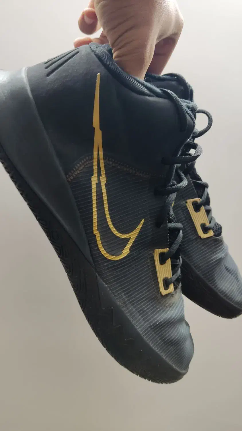 کفش های والیبال و بسکتبال سایز بزرگ اورجینال|کیف، کفش، کمربند|یزد, |دیوار