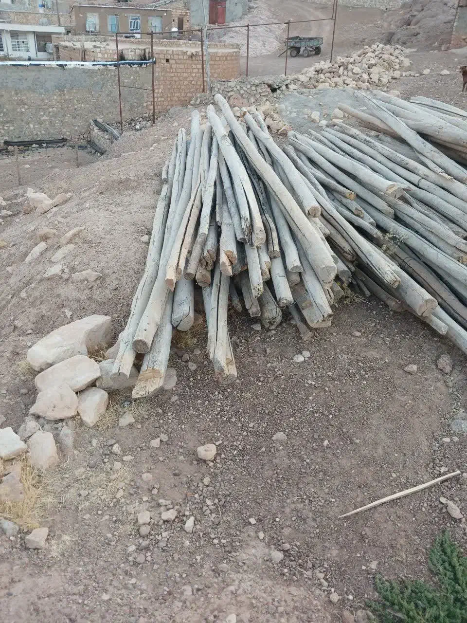 چوب خشک|مصالح و تجهیزات ساختمان|درب گنبد, |دیوار