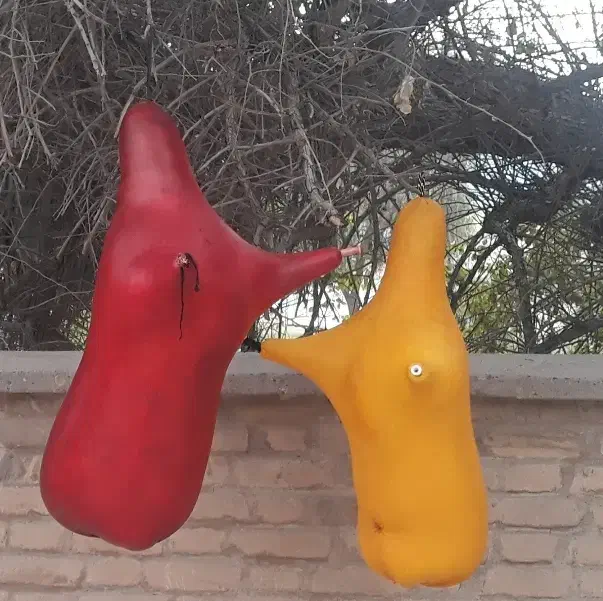 نی همبون ساز|سازهای بادی|تهران, مهرآباد جنوبی|دیوار