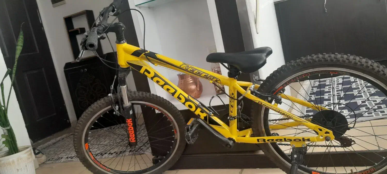 دوچرخه|دوچرخه، اسکیت، اسکوتر|فولادشهر, فولادشهر|دیوار