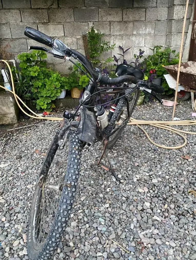 دوچرخه سالم|دوچرخه، اسکیت، اسکوتر|رشت, حومه رشت|دیوار