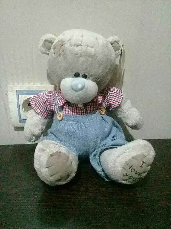 خرس ولنتاین|اسباب‌‌بازی|نیر (اردبیل), |دیوار