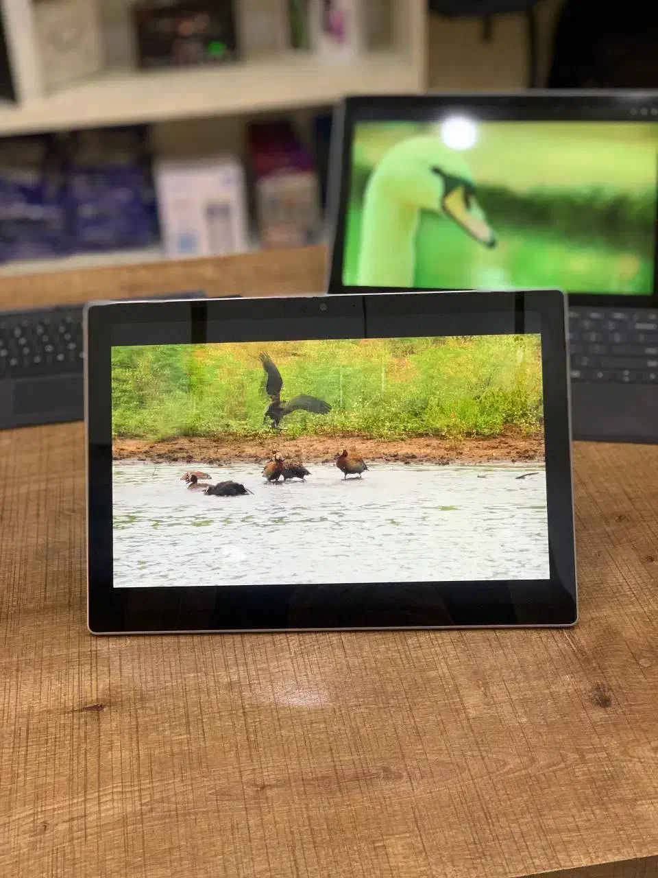 Surface pro|رایانه همراه|فردوس (خراسان), |دیوار