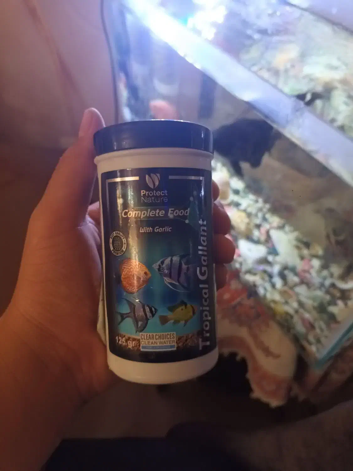 یک عدد آکواریوم|ماهی|الوند, |دیوار