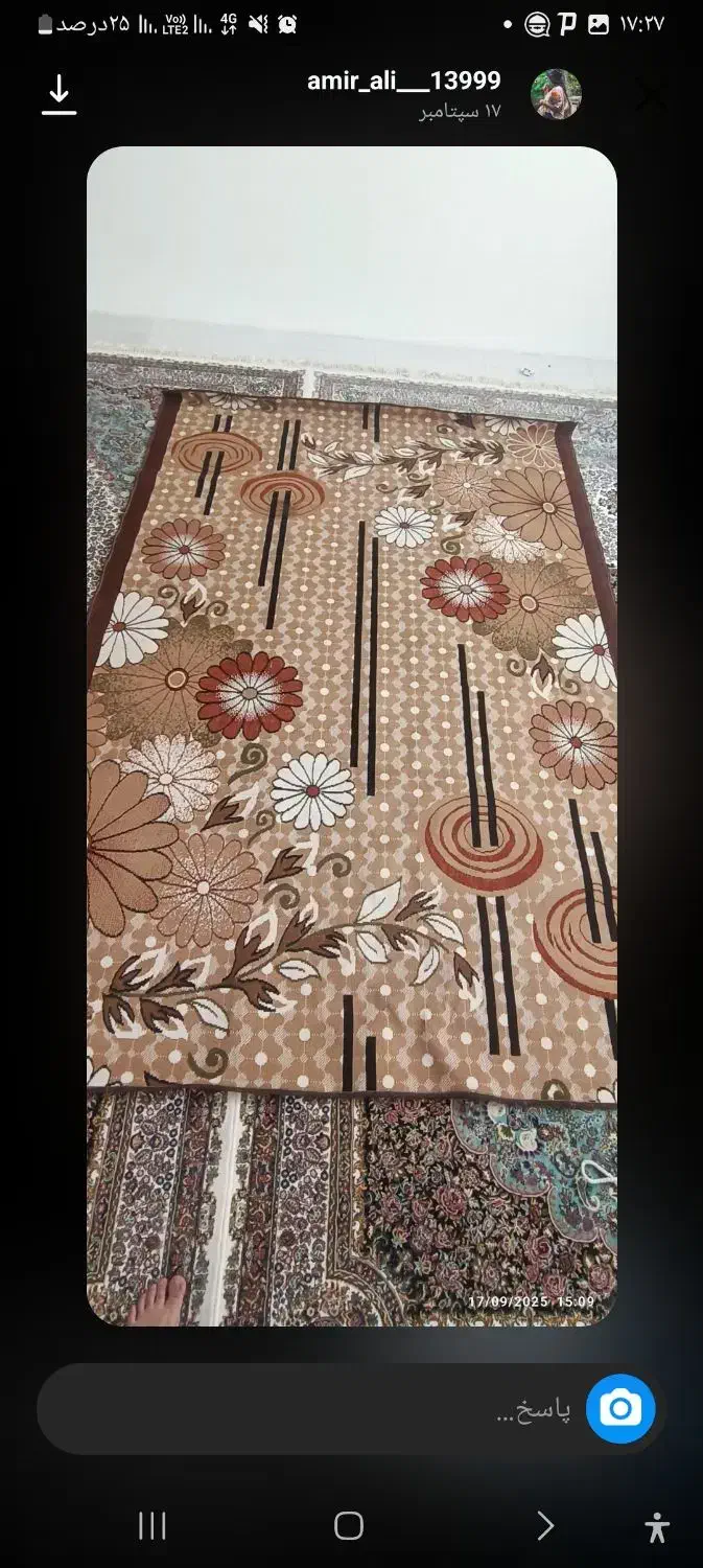 گلیم فرش ۶ متری|فرش|صحنه, |دیوار