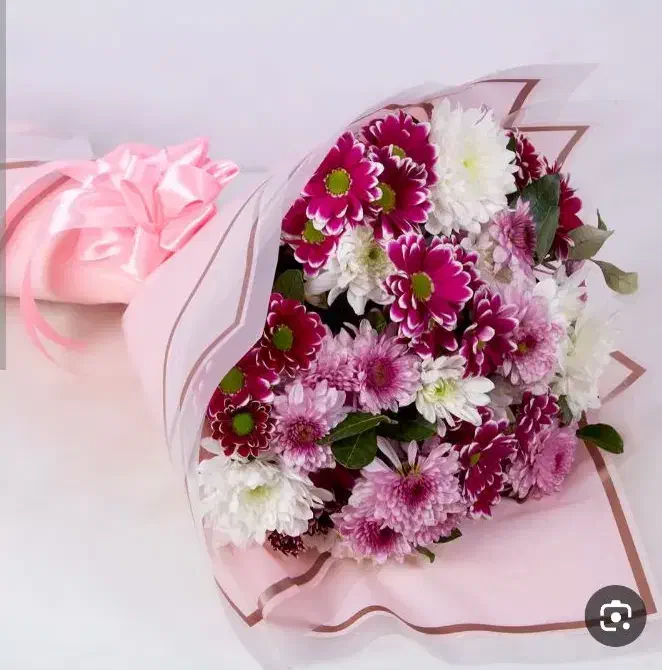 پخش عمده داوودی و رز هلندی و آلستر|گل و گیاه طبیعی|مشهد, نیروی هوایی|دیوار