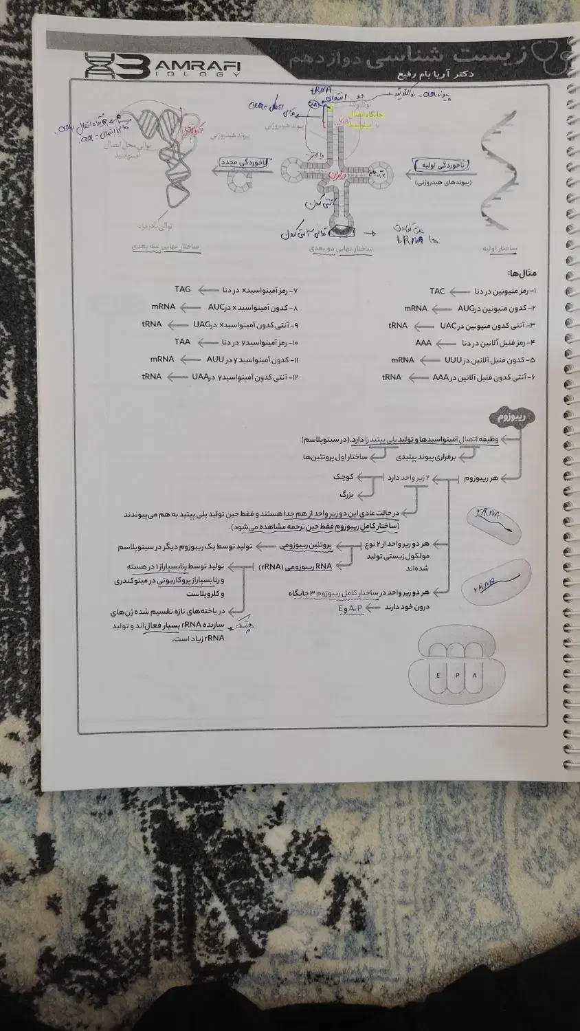 جزوه استاد بام رفیع زیست پایه و دوازدهم کنکور 1404|کتاب و مجله آموزشی|قم, آذر (نکویی)|دیوار