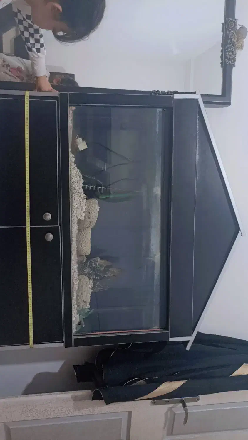 اکواریوم|ماهی|اردبیل, |دیوار