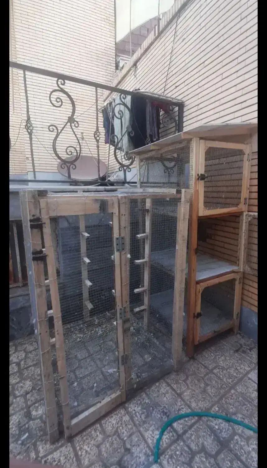 جفت کن بزرگ به همراه قفس بزرگ|لوازم جانبی حیوانات|کرمان, |دیوار