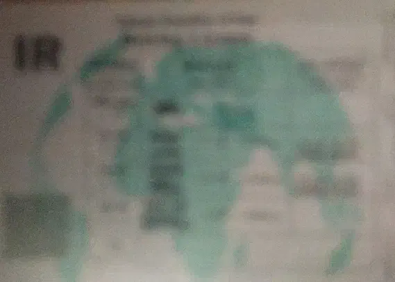 گم کردن گواهینامه رانندگی|اشیا|کرمان, |دیوار