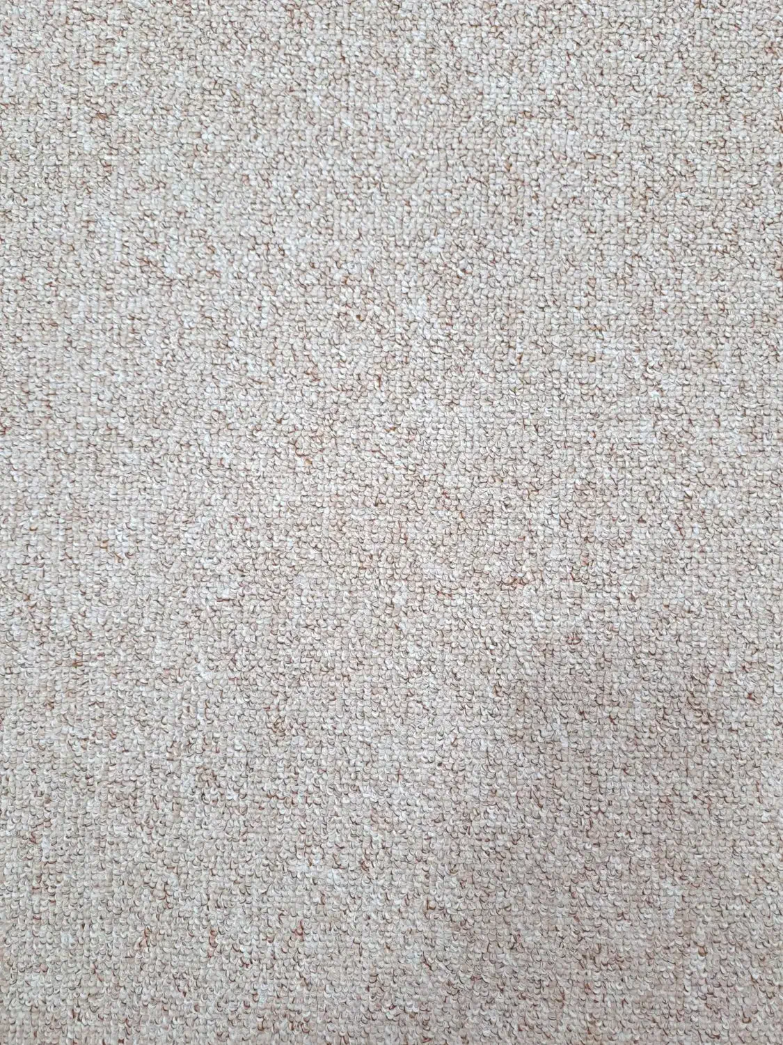 موکت درحدنو|موکت|بدره, |دیوار