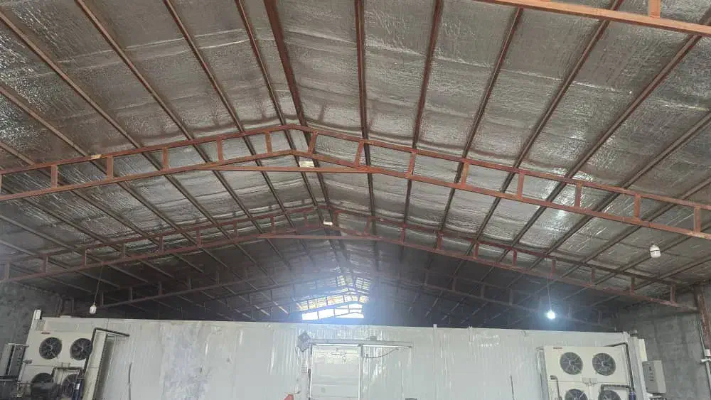 زمین تجاری و سردار خانه زیر صفر|فروش دفتر صنعتی، کشاورزی، تجاری|ایرانشهر, |دیوار