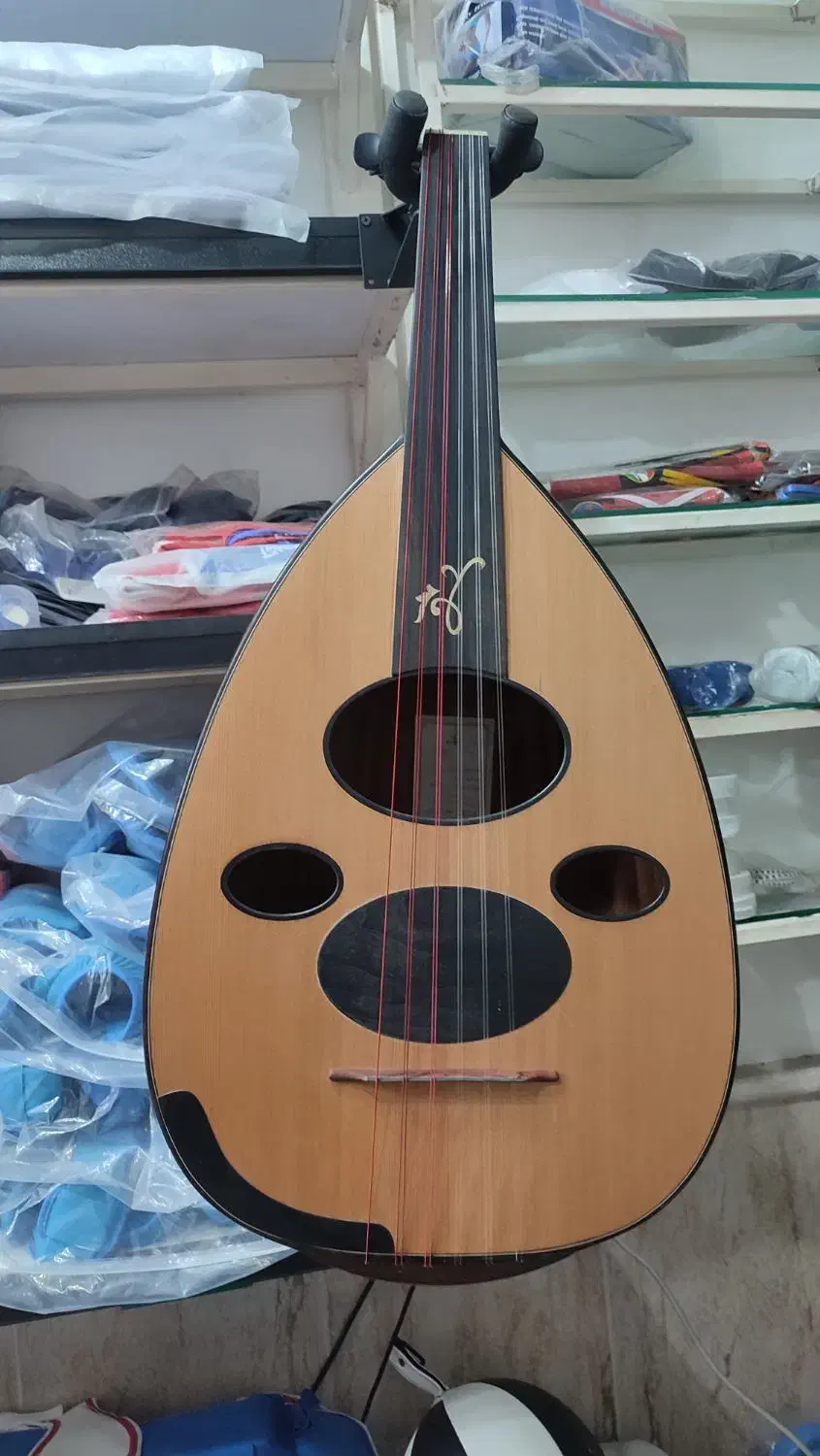 عود زریاب عراقی ۳ حرفه ایی|سازهای سنتی|تهران, ترمینال غرب|دیوار