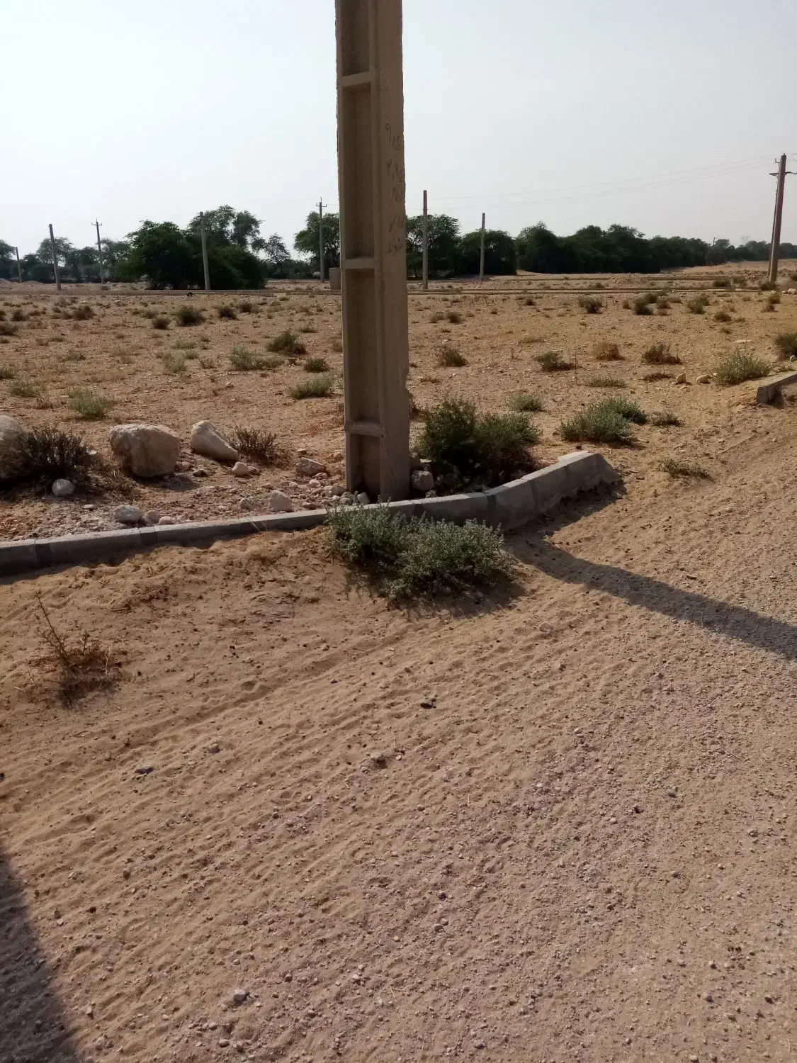 فروش زمین 2000متری|فروش دفتر صنعتی، کشاورزی، تجاری|برازجان, |دیوار