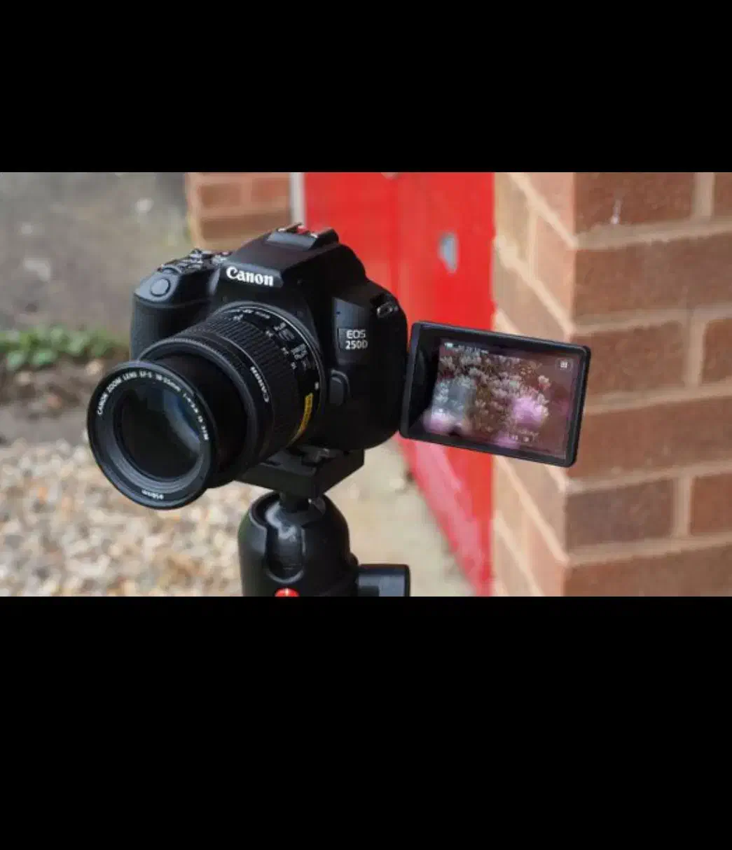 دوربین عکاسی کنون 250d دی با لوازم کامل نو نو|دوربین عکاسی و فیلمبرداری|اردبیل, |دیوار