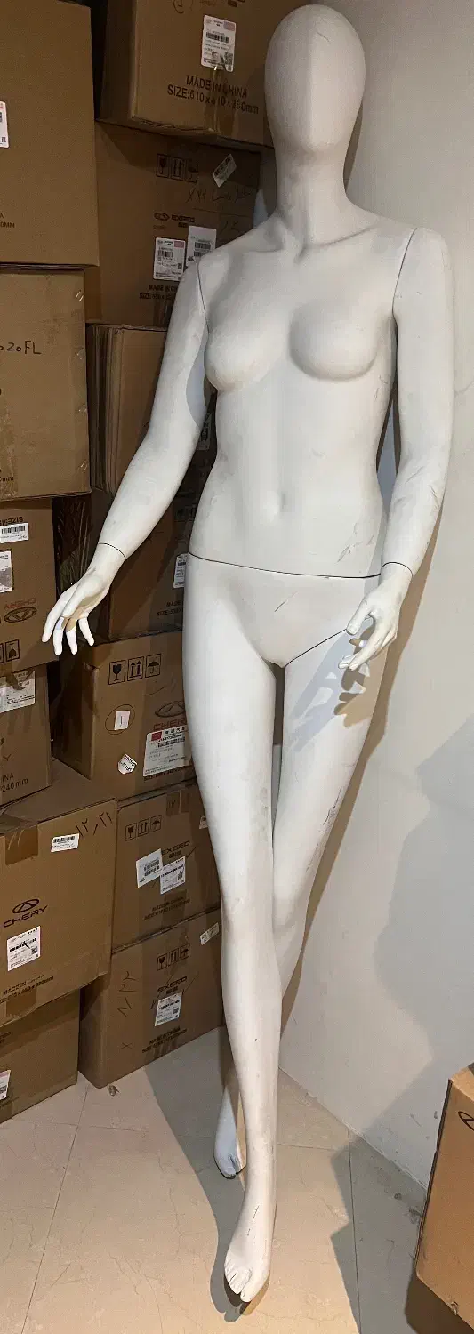 مانکن کامل|فروشگاه و مغازه|بندرعباس, |دیوار