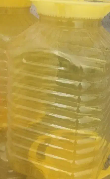 سطل پلاستیکی|ظروف نگهدارنده، پلاستیکی، یک‌بارمصرف|شیراز, پودنک|دیوار